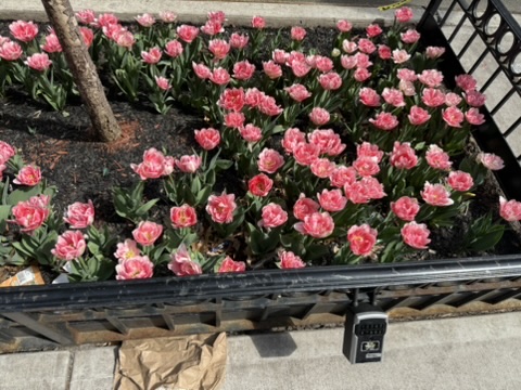 Flowers by The Flowery Upper West Side
