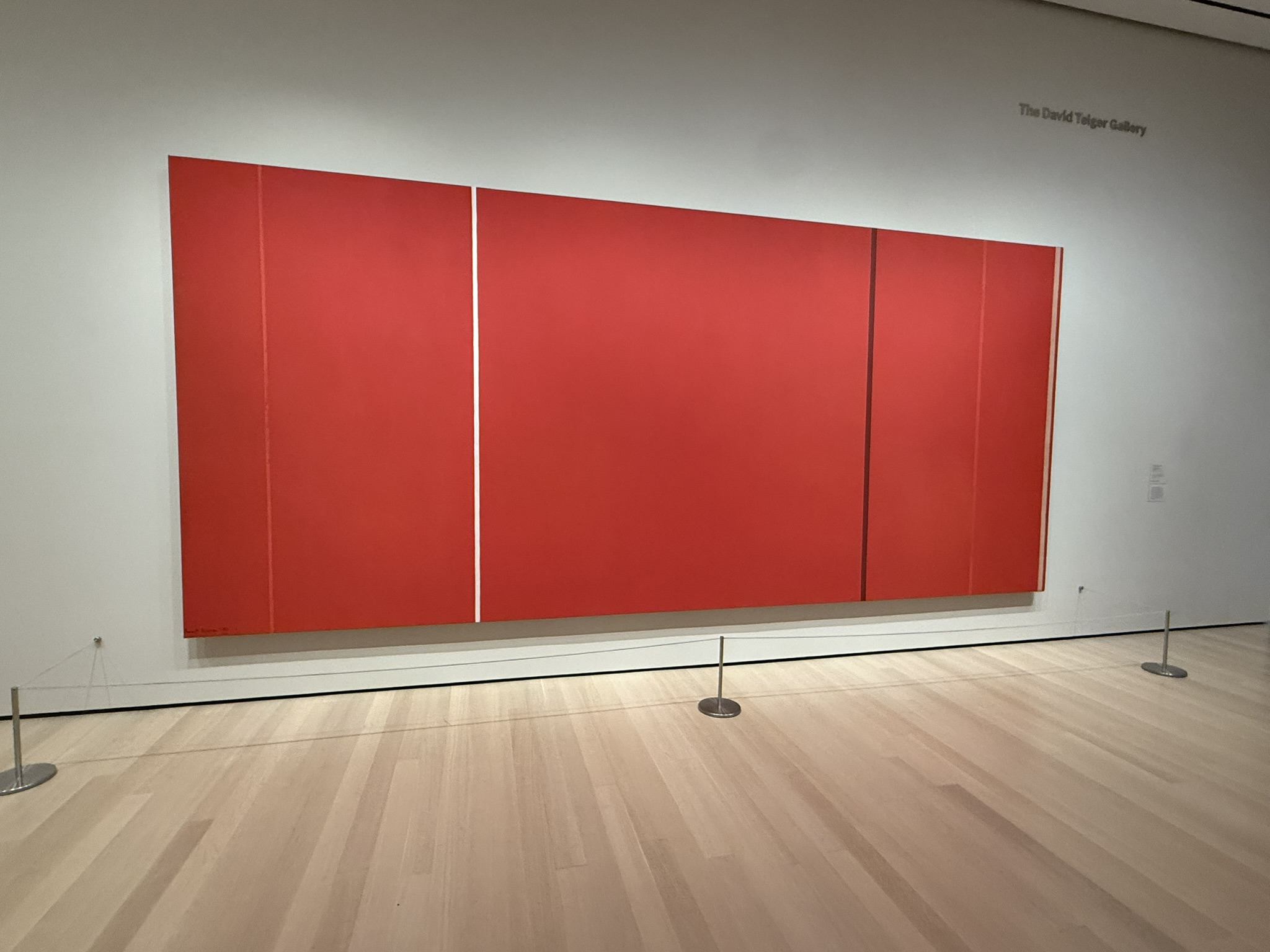 Vir Heroicus Sublimis by Barnett Newman